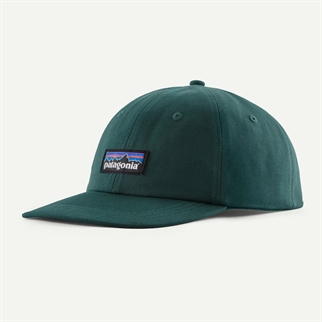 Patagonia P-6 Label Trad Cap cascade green